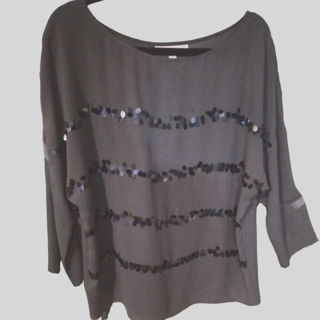 Gray Blouse With Sequence